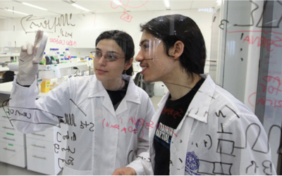 Avanza UC: Ingeniería UC lidera 11 proyectos de investigación para abordar desafíos estratégicos del país