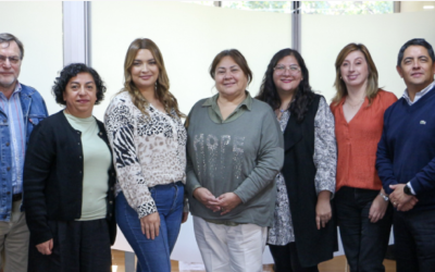 Representantes de la Universidad de Concepción conocen buenas prácticas de Ingeniería UC